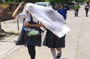 summer photo