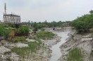 वैश्विक पर्यावरण की धरोहर सुंदरवन