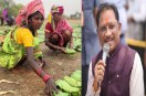 Chhattisgarh News, cm sai