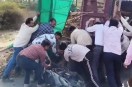 Mother Saves Children