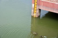 water crisis in jodhpur