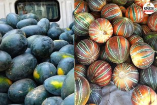 watermelon and melon