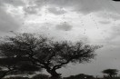 Churu Weather News