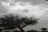 Churu Weather News