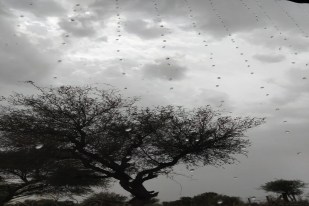 Churu Weather News
