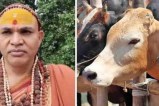 Avimukteshwaranand, Demand Accord National Status to Cow