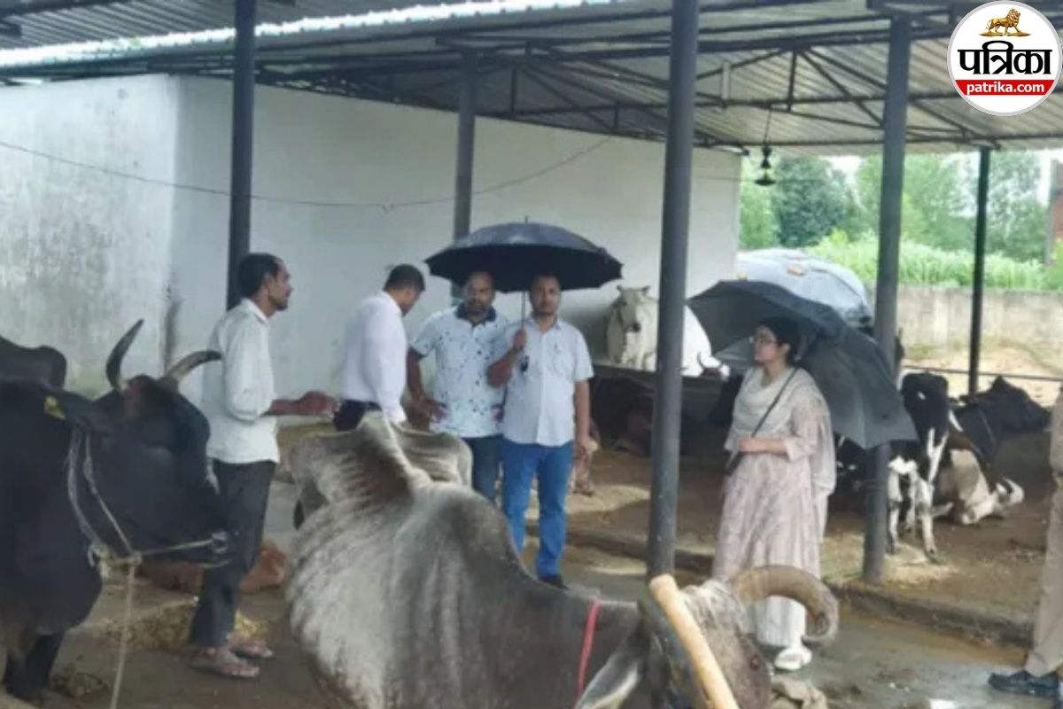 up news