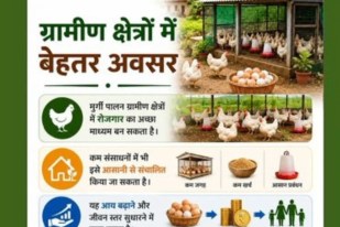 poultry farming scheme up, up kukut palan yojana