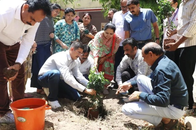 मोतीलाल नेहरू स्कूल में कलेक्टर ऋषव गुप्ता ने पौधरोपण किया।