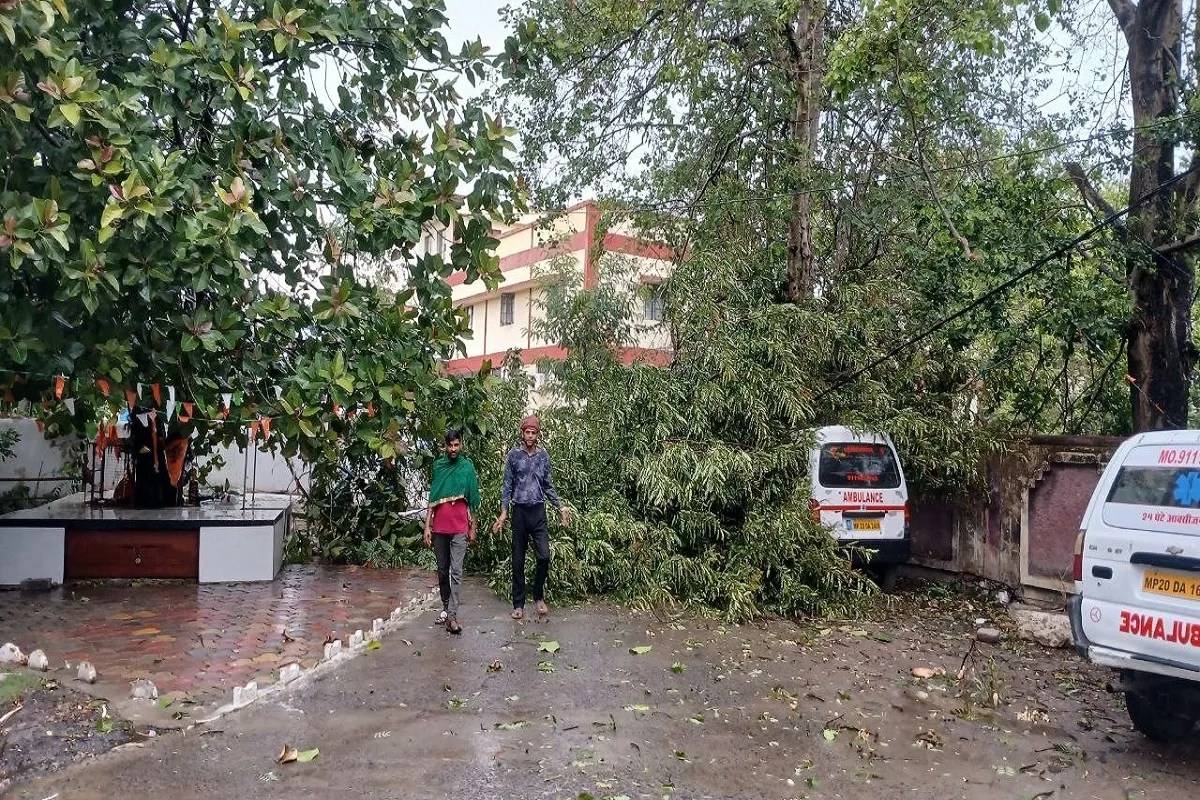 जिले में तेज आंधी के साथ प्री मानसूनी बारिश के आगाज ने लोगों को उमस भरी गर्मी से थोड़ी राहत देने के साथ अच्छी बारिश की उम्मीद बढ़ा दी है। लेकिन तेज आंधी के दबाब में जगह-जगह गिर रहे पेड़ों के कारण सडक़ों के साथ ही शहरी-ग्रामीण इलाकों में जोखिम बढऩे लगा है।