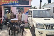 पकड़े गए आरोपी बरामद बकरी फोटो सोर्स पुलिस मीडिया सेल