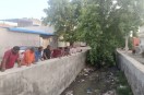 छोटा राणीसर बास में गंदे नाले में उगे पेड़ों को देखते क्षेत्रवासी