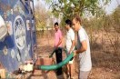 बढ़ती गर्मी को कम करने का सबसे प्रभावी उपाय अधिक से अधिक पौधे लगाना और उन्हें संरक्षित करना है। यदि प्रत्येक व्यक्ति हर वर्ष अपनी क्षमता के अनुसार पौधे लगाए और उन्हें बड़ा करने का संकल्प ले, तो पर्यावरण संरक्षण की दिशा में बड़ा बदलाव संभव है।