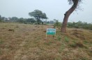 Neemuch Breaking News