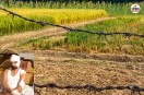 Cobra Wire Fencing