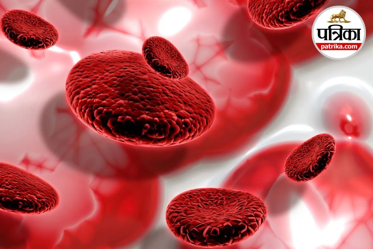 Blood Formation, Hemoglobin, Anemia,