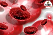 Blood Formation, Hemoglobin, Anemia,