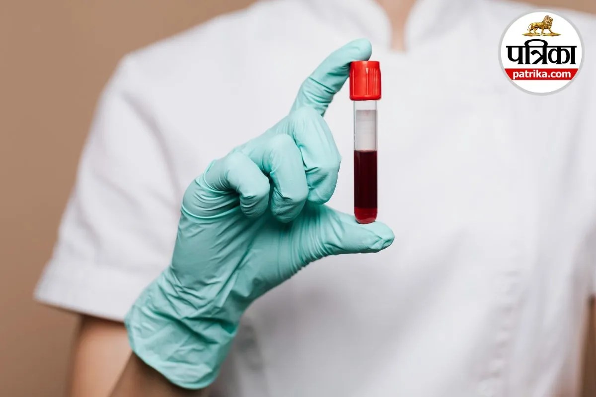Blood Test Sample Blood Test Facts Blood Collection Process