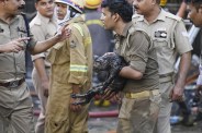 15 बच्चों के साथ जली बिल्लियाँ, रेस्क्यू टीम ने बचाई एक मासूम जान (फोटो सोर्स : भाषा संवाद WhatsApp News Group)