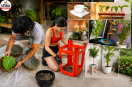 Cement Craft Ideas, Cement Planter Ideas