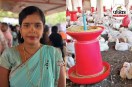 Poultry Farming Business