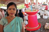 Poultry Farming Business