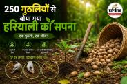 Chhattisgarh Environment