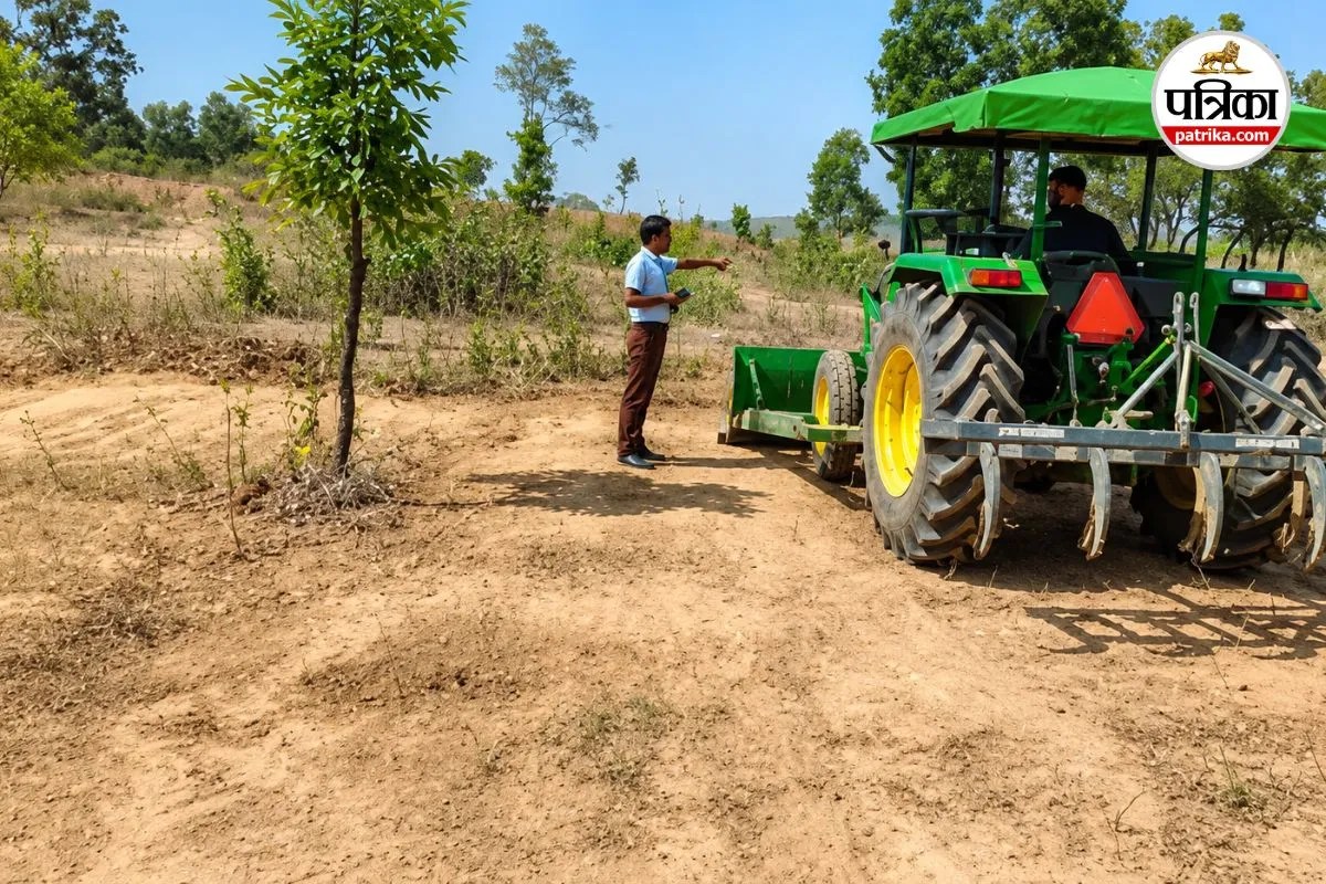 Panchvati Plantation