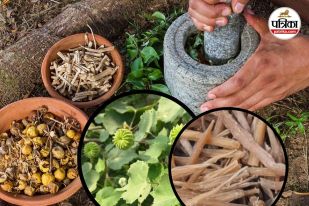 Chhattisgarh Herbals