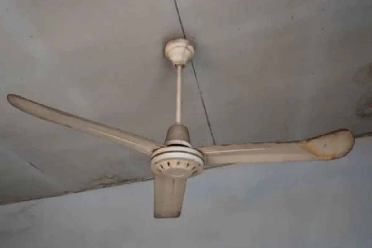 Suicide Case