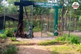 Wildlife Corridor Protection