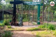 Wildlife Corridor Protection