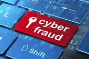 Cyber fraud
