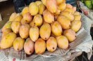Dasheri mango