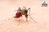 Dengue Fever Dengue Symptoms Dengue Signs Dengue Warning Signs