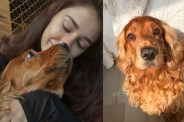 Disha Patani Pet Dog Death