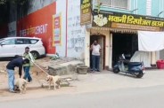 Dogs hostage husband-wife, Dogs terror
