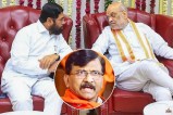 Operation Tiger shiv sena