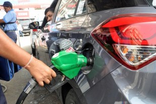 Government promoting ethanol-blended petrol in India