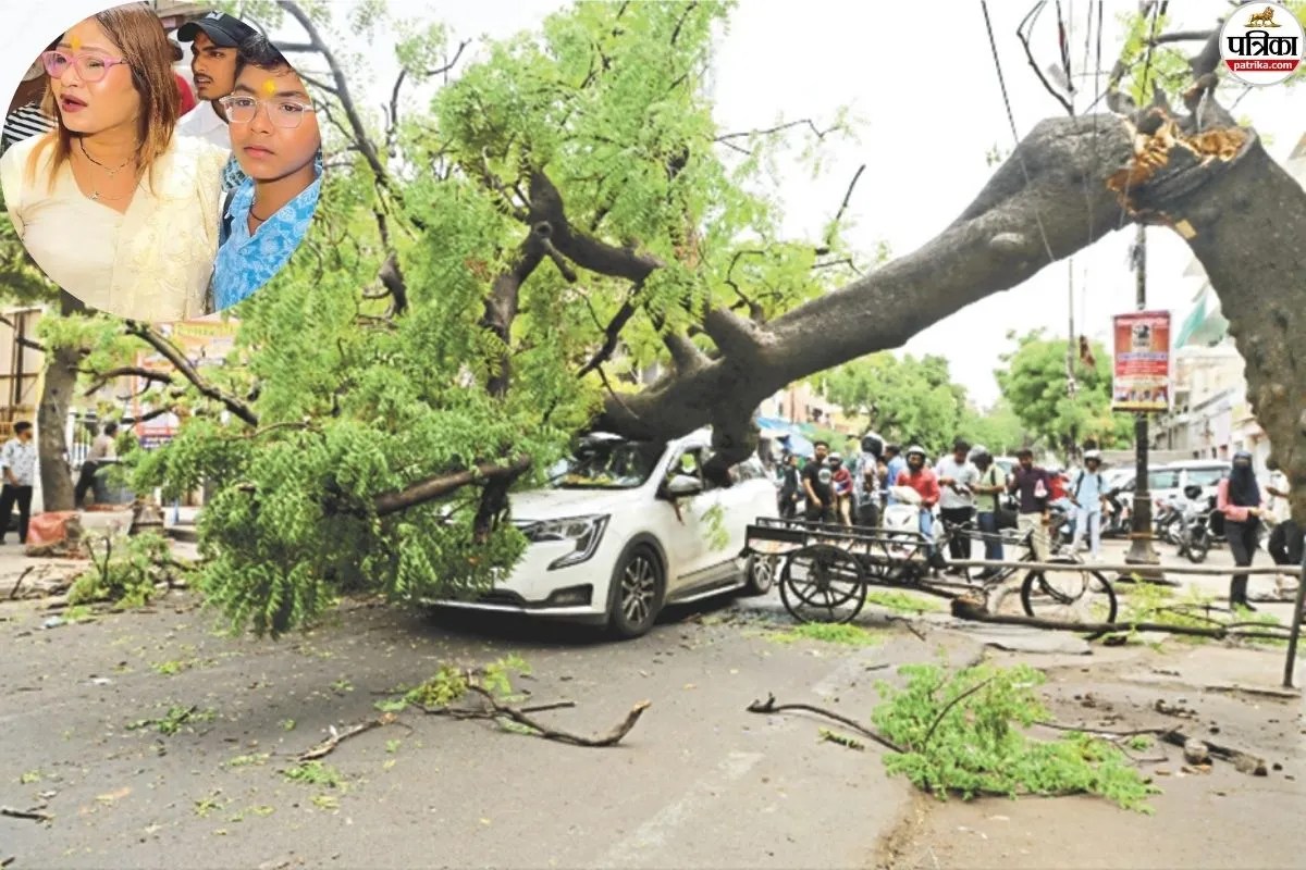 Jaipur Gangauri Bazaar Neem Tree Fall