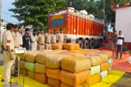 Huge hemp seized, Hemp smuggling in truck