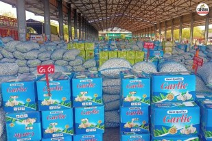 Garlic Bumper Arrival In Baran Mandi