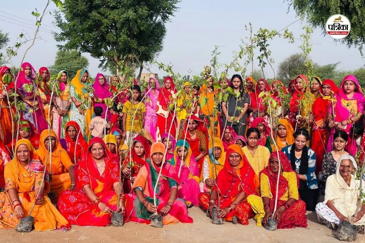 Hariyalo Rajasthan Borawar Kolar Dungri Bahan Beti Vatika Sanjay Sharma