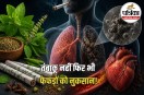 Herbal Cigarette Risks
