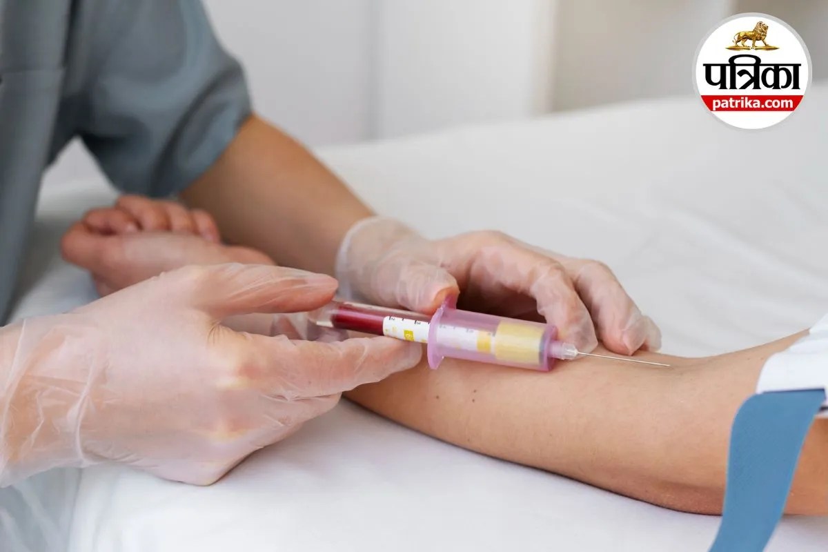 Lipid Profile Test Lipid Panel Test Cholesterol Test