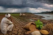 Monsoon