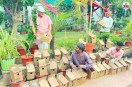 Jaipur Bird House