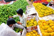 Jaipur Mango Prices