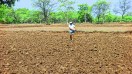 इस वर्ष मानसून की बेरुखी से छत्तीसगढ़ के किसान परेशान हैं। अच्छी वर्षा के इंतजार में किसान चिंतित हैं। सोमवार शाम हुई थोड़ी वर्षा ने कुछ राहत दी, लेकिन स्थिति गंभीर है। इस दिन जिलेभर में औसत 16.7 मिमी बारिश दर्ज की गई।