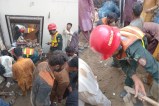 pakistan news